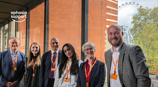 Advocating for Aphasia in Parliament