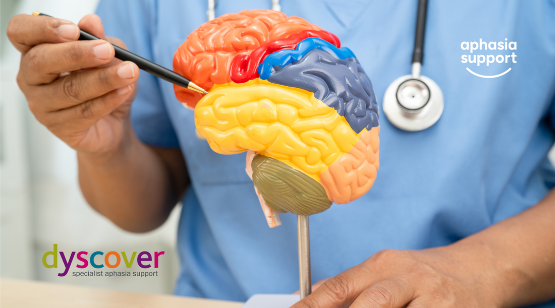 Understanding Primary Progressive Aphasia